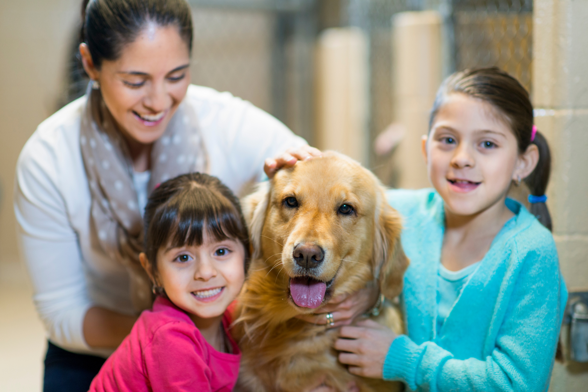 Adoption Home Study and Your Dogs