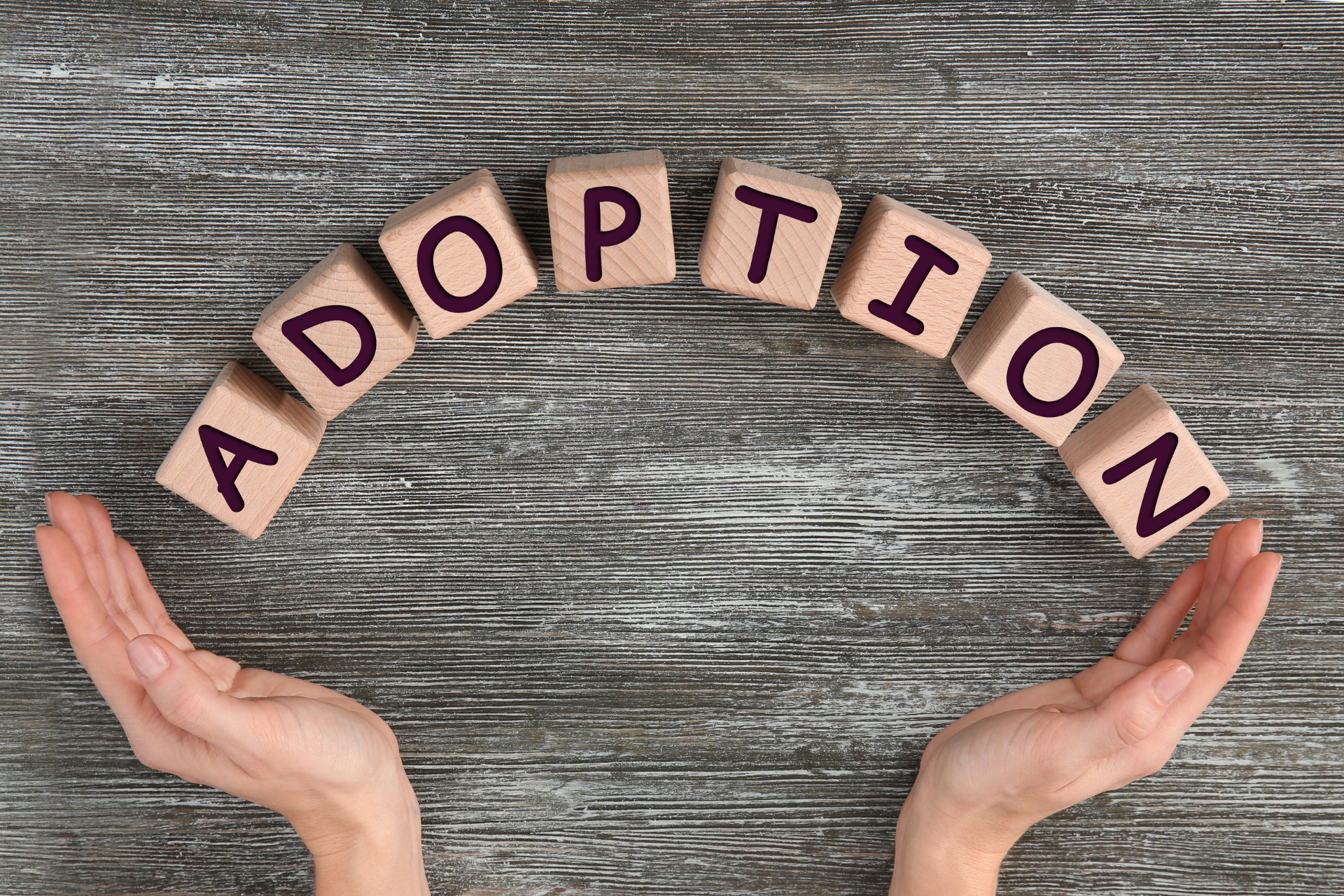 November Is National Adoption Month