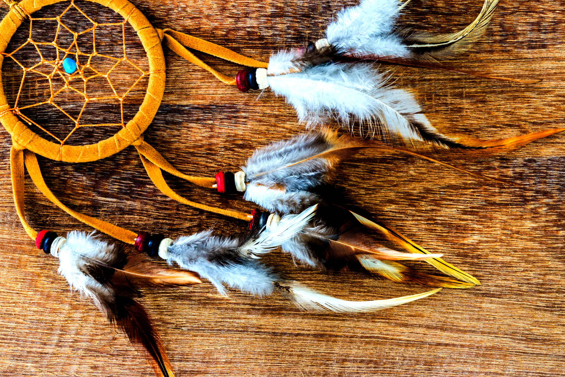 Adoption History: The Indian Adoption Project